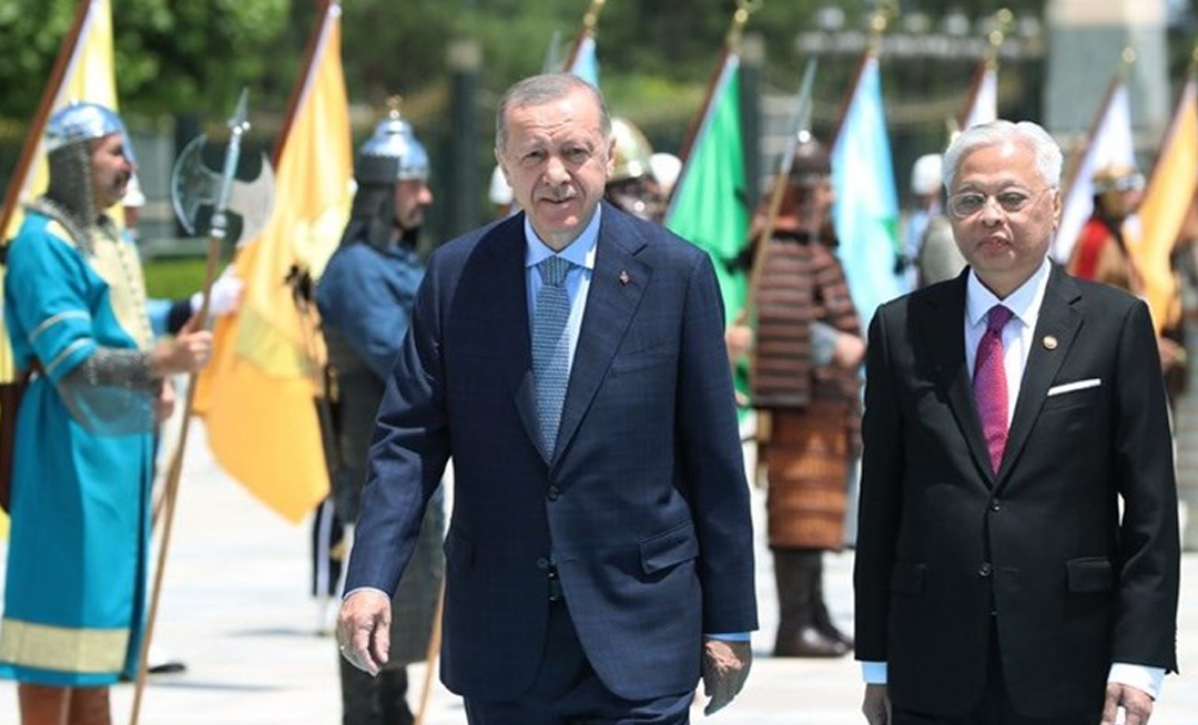 STA Gümrük Müşavirliği